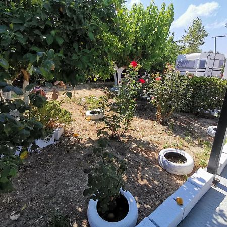 Green Garden Caravan Hotel Agrilia Luaran gambar