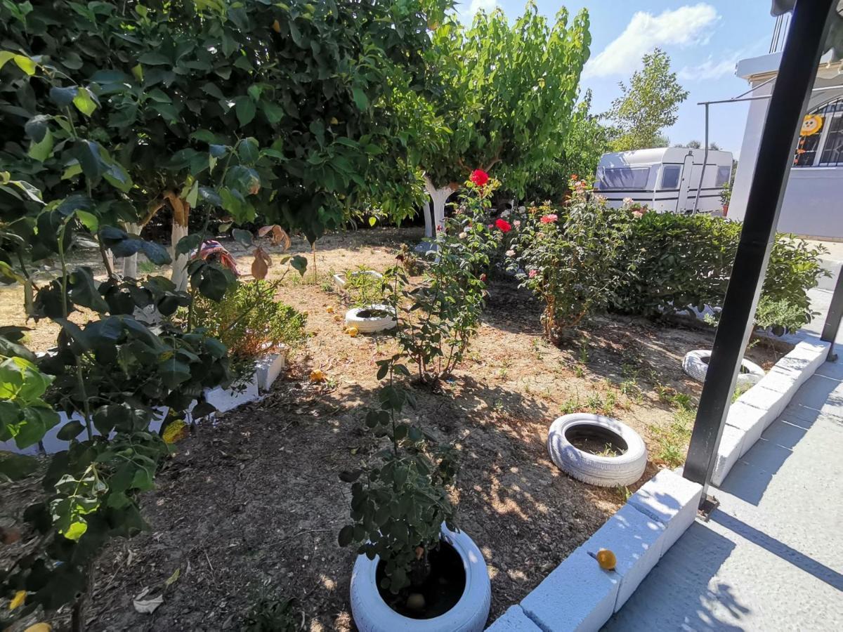 Green Garden Caravan Hotel Agrilia Luaran gambar